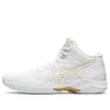 Gelhoop V12 “White”