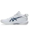 Gelhoop V17 S “White Mako Blue”