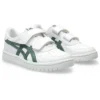 Giappone S “White Ivy”