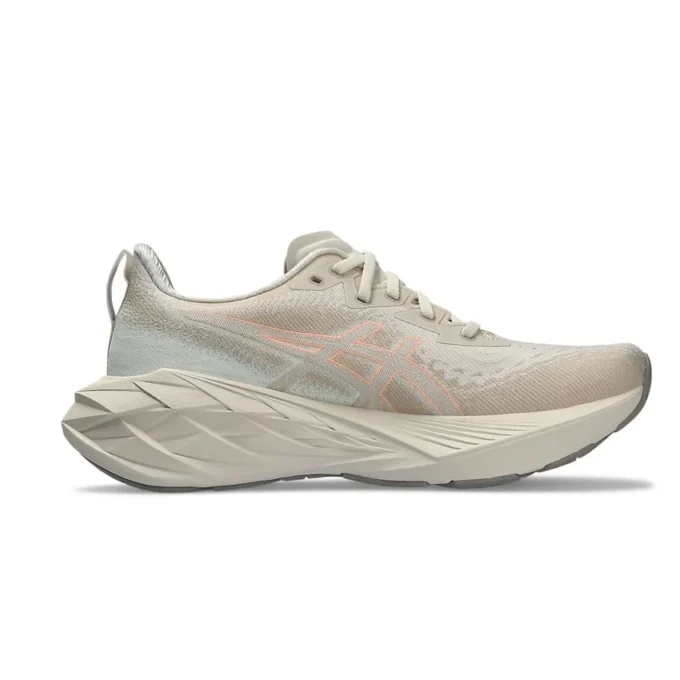 Novablast 4 D “Oatmeal Moonrock”