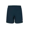 Pantaloncini Road da 7 pollici “French Blue”